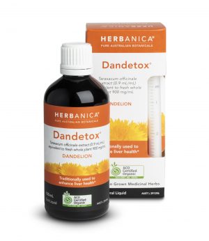 Dandetox Bottle Box Hr
